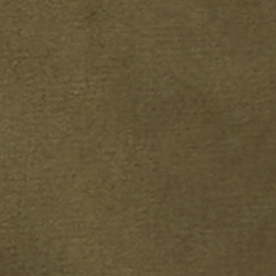 Canopy Olive