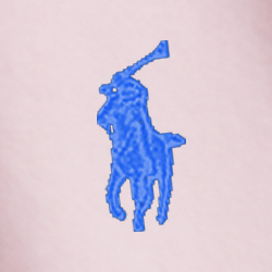 Slim Fit Garment-Dyed Oxford Shirt