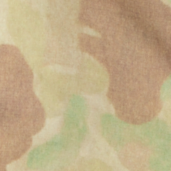 Frog Camo