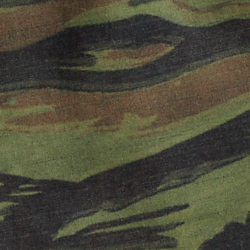 Tiger Stripe