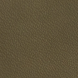Canopy Olive