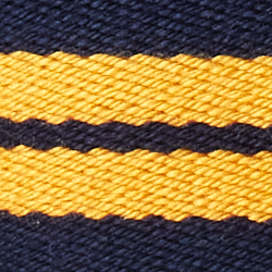 Refined Navy/Yellow Gold