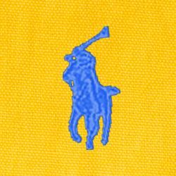 Yellow Fin