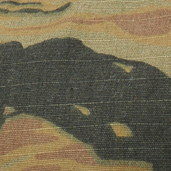 Tiger Stripe