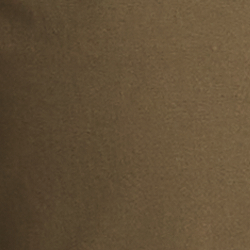 Expedition Olive