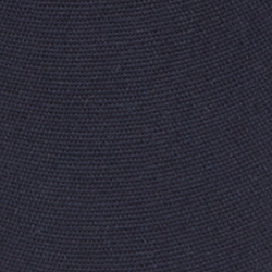 Navy Bear