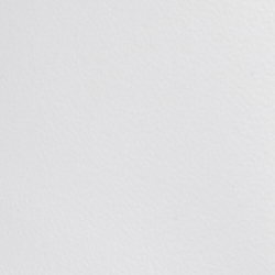 White/Bear