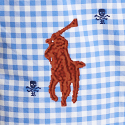 Gingham Skull Embroidery