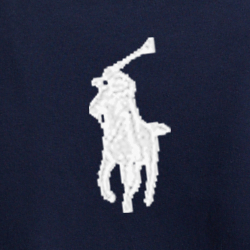 Cruise Navy