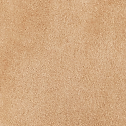Fawn / Cream