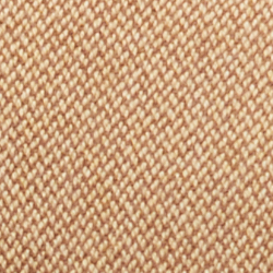 Camel And Light Brown