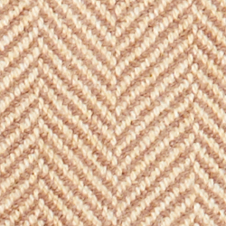 Camel And Light Brown