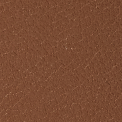 Chestnut