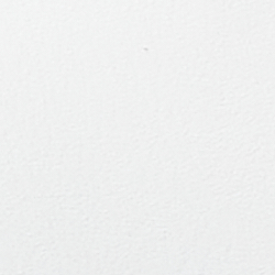 Rl White/Lauren Navy