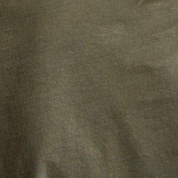 Canopy Olive