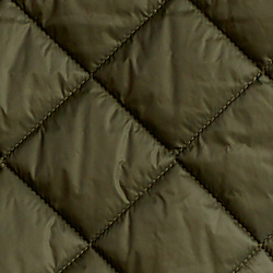 Canopy Olive