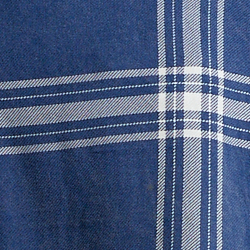 Blue/White Multi Plaid