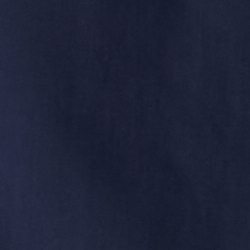 Cruise Navy