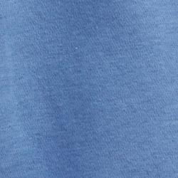 Bastille Blue
