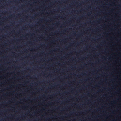 Cruise Navy