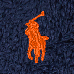 Cruise Navy