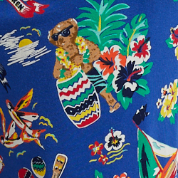 Sail Bearwaiian Print