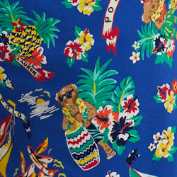 Sail Bearwaiian Print