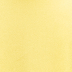 Canary Yellow