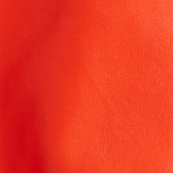 Bright Orange