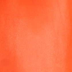 Bright Orange