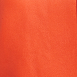 Bright Orange