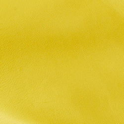 Canary Yellow