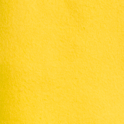 Canary Yellow