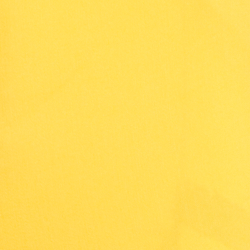 Canary Yellow