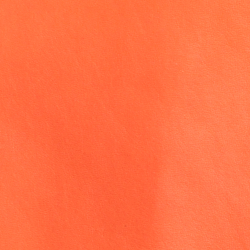Bright Orange