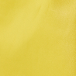 Canary Yellow