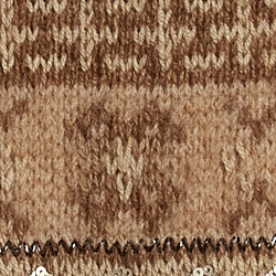 Camel Multi