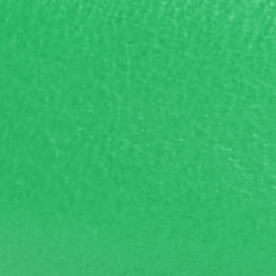 Spearmint