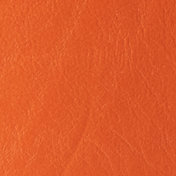 Clementine