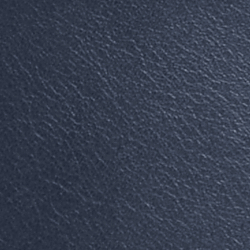 Marine Navy