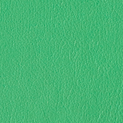 Spearmint