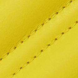 Canary Yellow