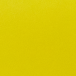 Canary Yellow