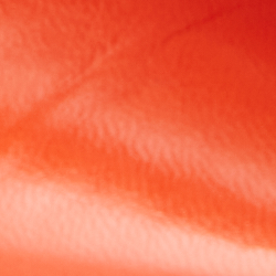 Bright Orange