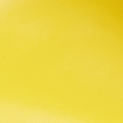 Canary Yellow