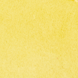Canary Yellow
