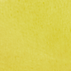 Canary Yellow