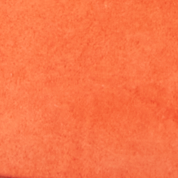 Bright Orange
