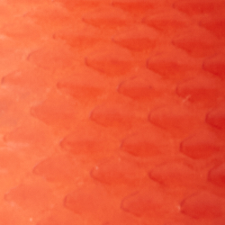 Bright Orange