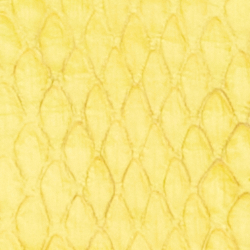 Canary Yellow